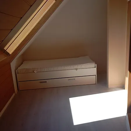 Mofe Monteur- Oschersleben